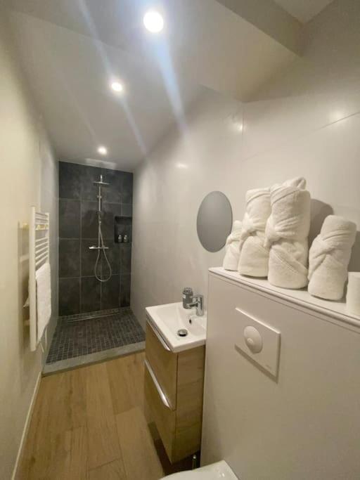 Appartement T2 Spacieux Et Equipe Mions 外观 照片